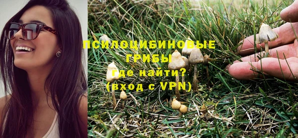 каннабис Алзамай