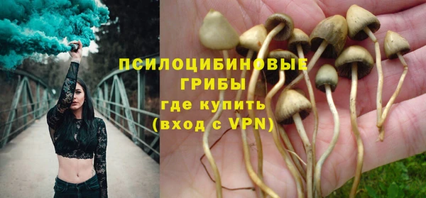 ПСИЛОЦИБИНОВЫЕ ГРИБЫ Абинск