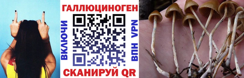 Галлюциногенные грибы Cubensis Алзамай